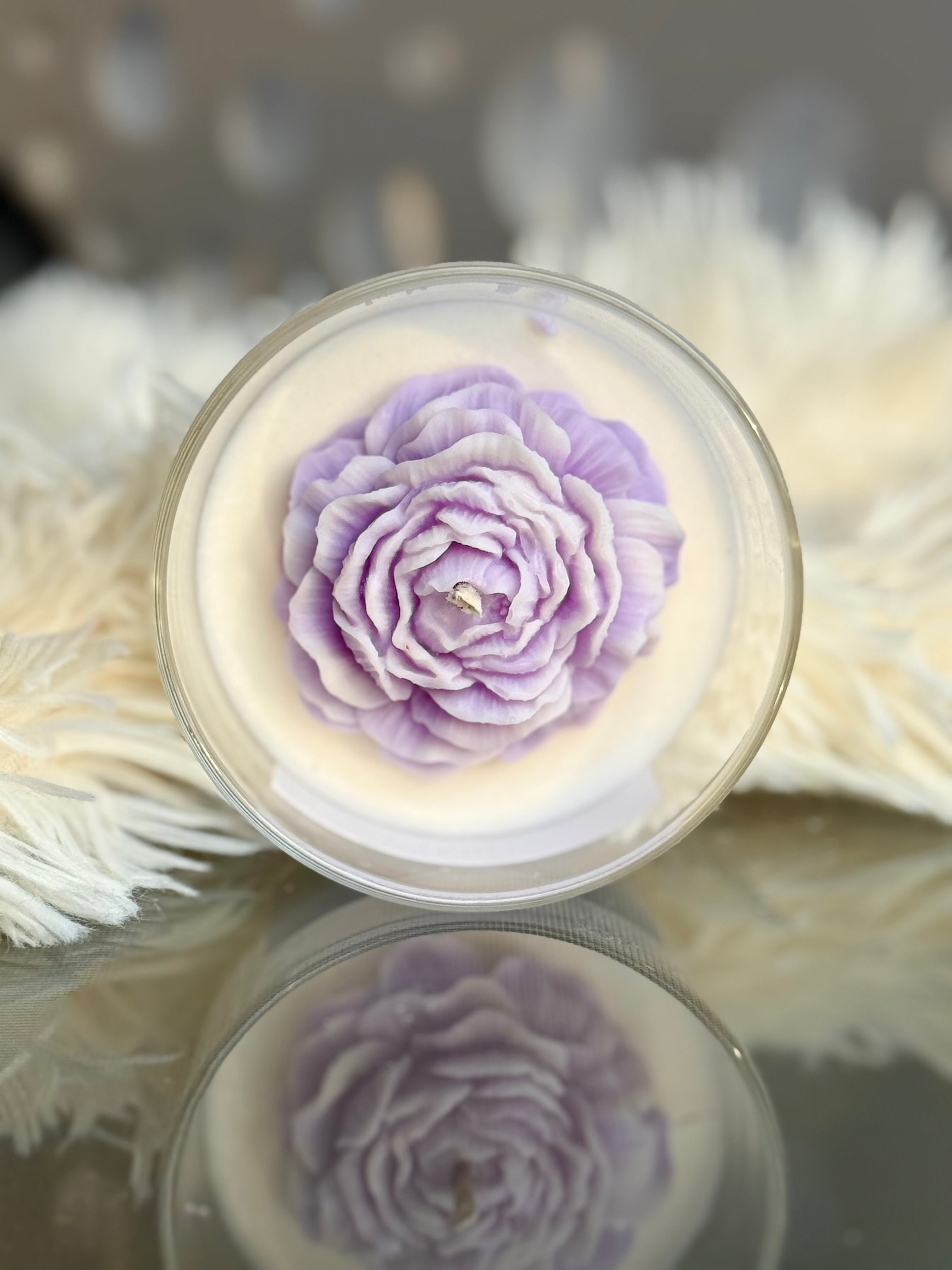 Peony Bloom