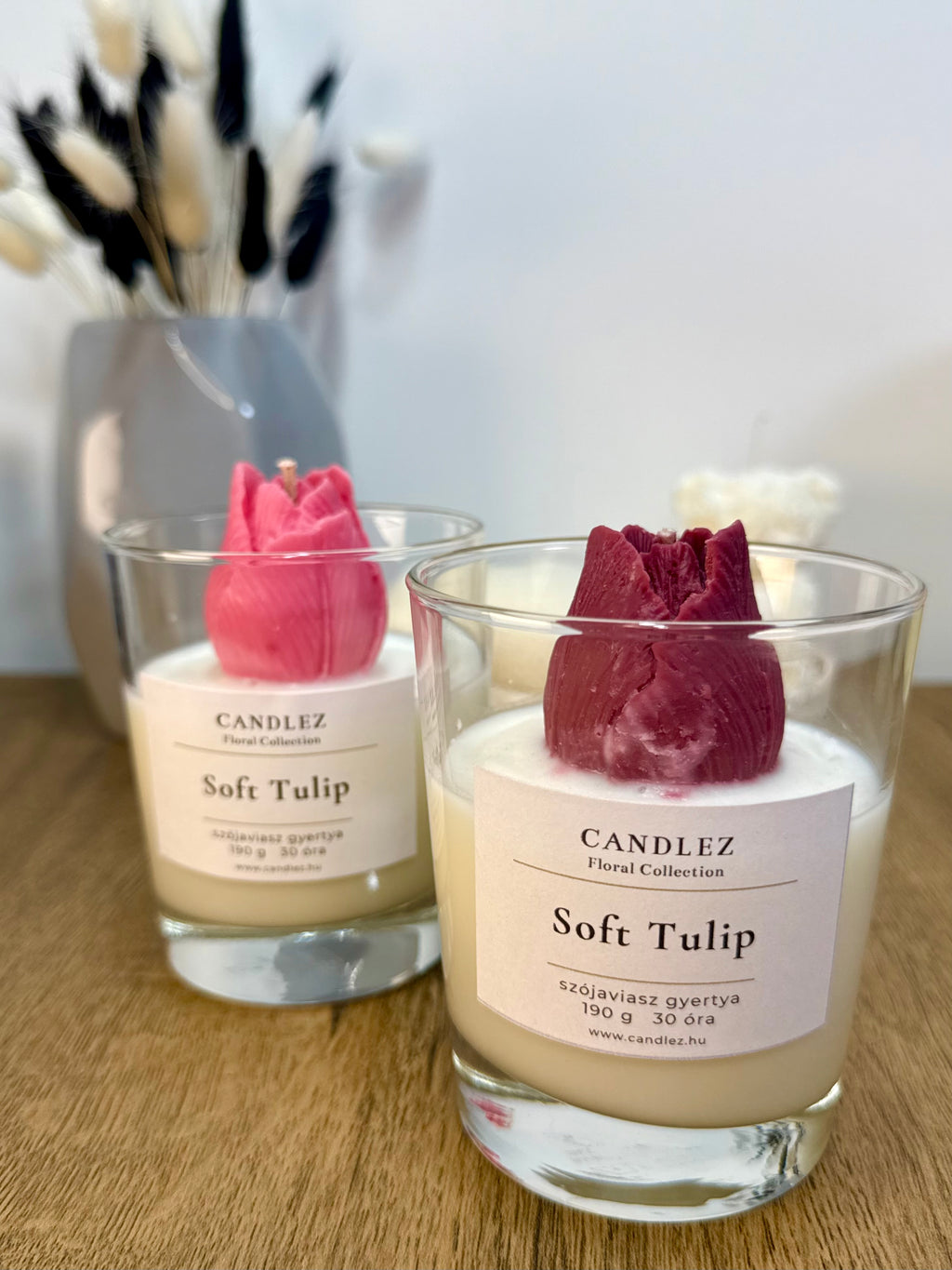 Soft Tulip