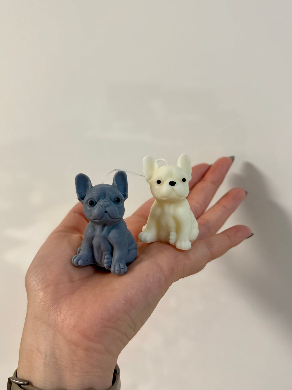 Francia bulldog formagyertya